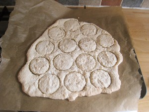 Macaroon Disaster
