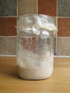 Sourdough starter - day one.